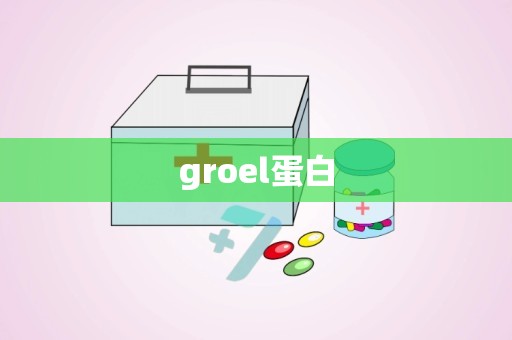 groel蛋白