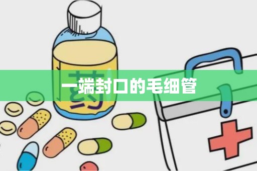 一端封口的毛细管