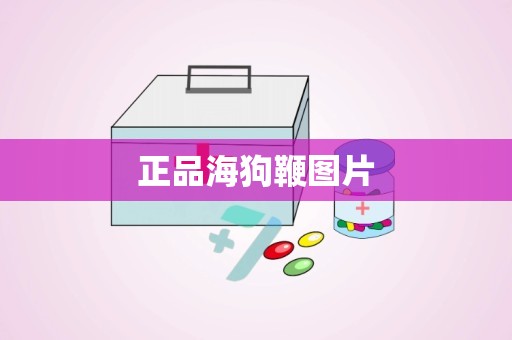 正品海狗鞭图片