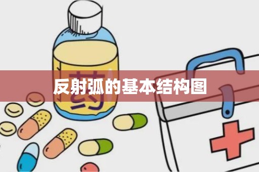 反射弧的基本结构图