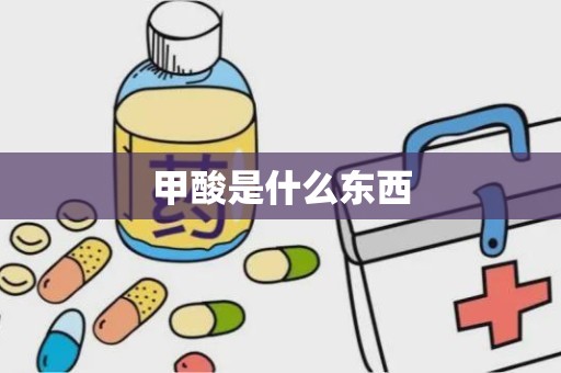 甲酸是什么东西