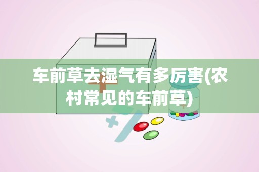 车前草去湿气有多厉害(农村常见的车前草)