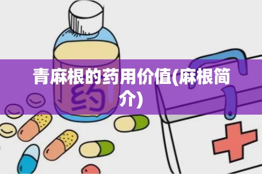 青麻根的药用价值(麻根简介)