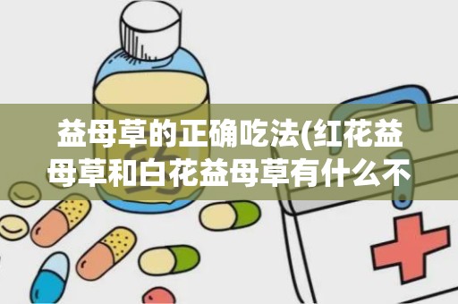 益母草的正确吃法(红花益母草和白花益母草有什么不同吗)