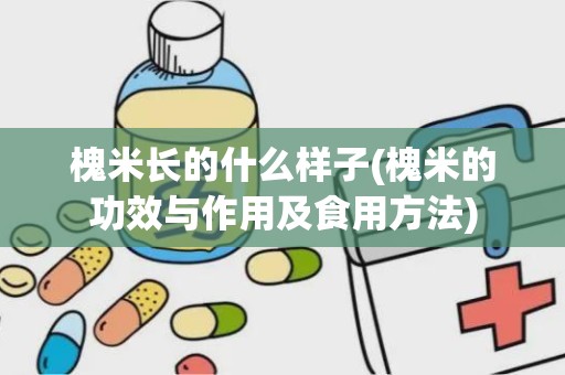 槐米长的什么样子(槐米的功效与作用及食用方法)