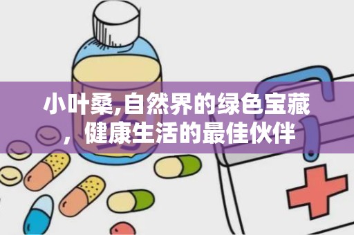 小叶桑,自然界的绿色宝藏，健康生活的最佳伙伴