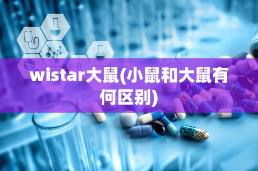 wistar大鼠(小鼠和大鼠有何区别)