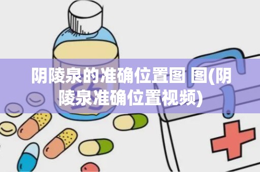 阴陵泉的准确位置图 图(阴陵泉准确位置视频)