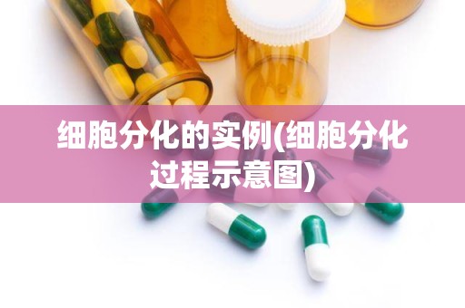 细胞分化的实例(细胞分化过程示意图)