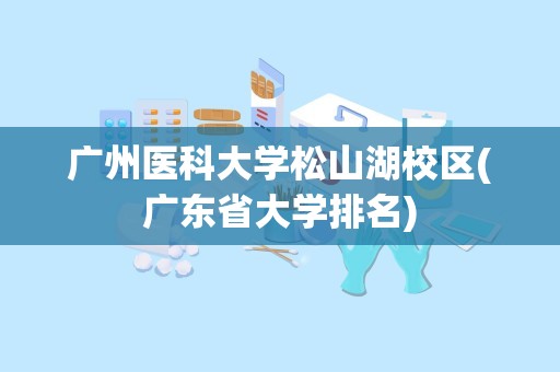 广州医科大学松山湖校区(广东省大学排名)