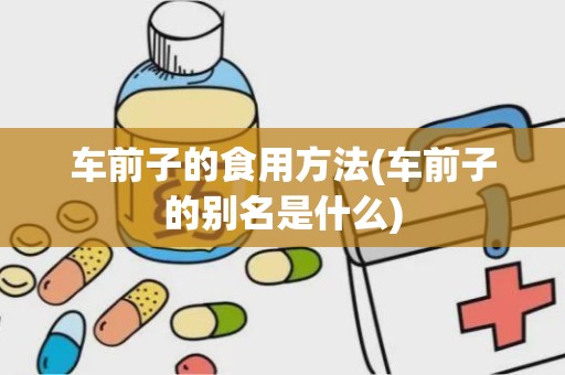 车前子的食用方法(车前子的别名是什么)