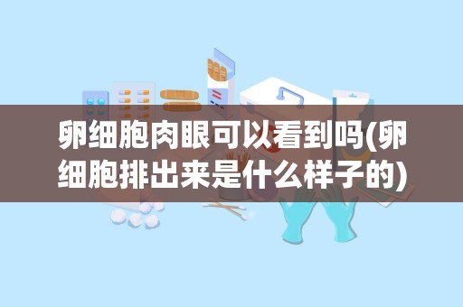 卵细胞肉眼可以看到吗(卵细胞排出来是什么样子的)