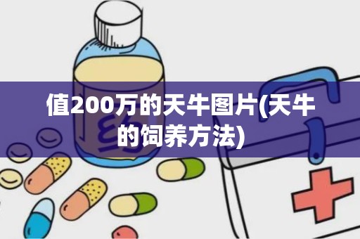 值200万的天牛图片(天牛的饲养方法)