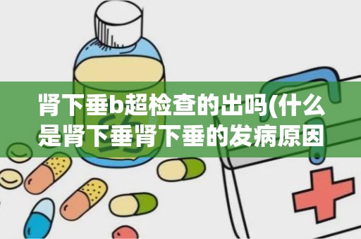 肾下垂b超检查的出吗(什么是肾下垂肾下垂的发病原因是什么)